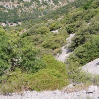 Photo de france - La randonnée du Pont du Diable